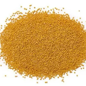local-mustard-seed-500g