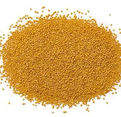 local-mustard-seed-500g
