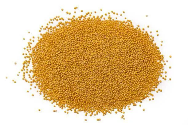 local-mustard-seed-500g